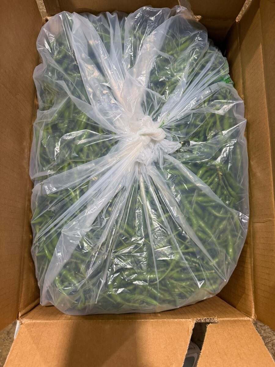 Thai chilli bagged and boxed