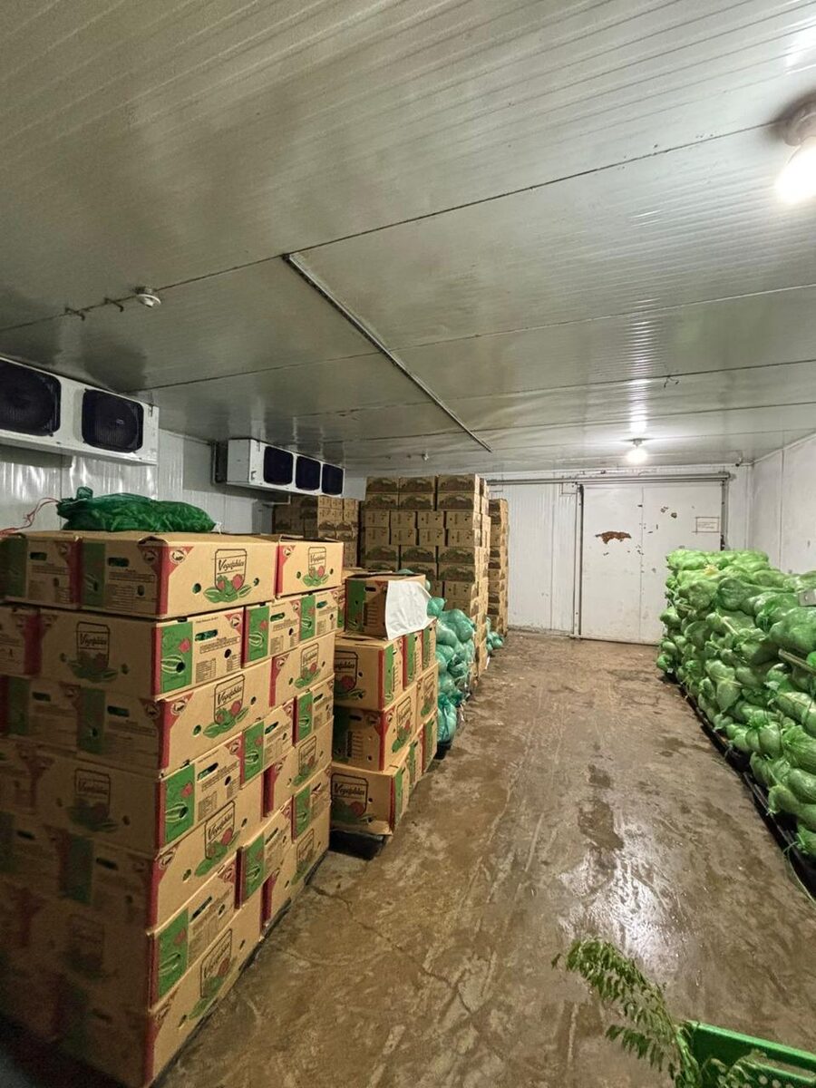 Cold storage room stacked with boxed produce, ready for dispatch