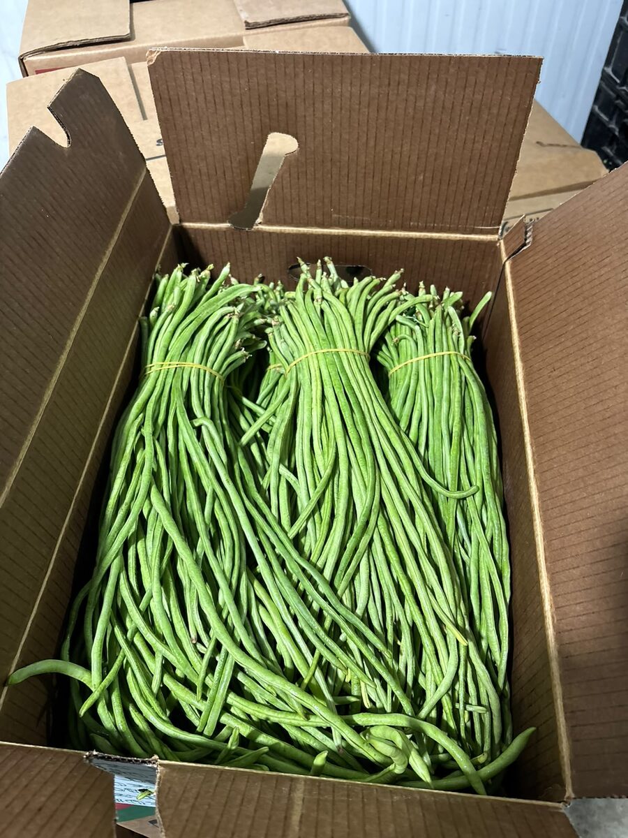 Long beans bundled and boxed