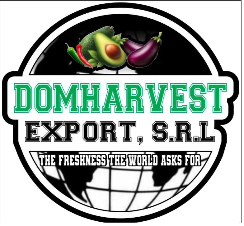 DomHarvest Export logo